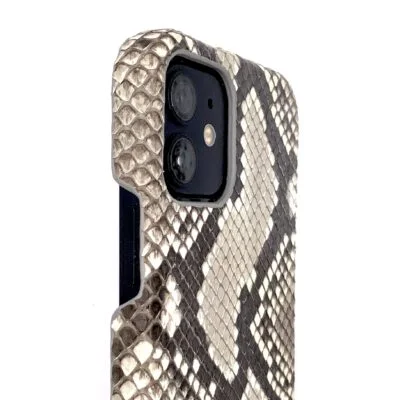 Coque Apple Case en python véritable pour illustrer un chapitre de la page d'accueil de Apple Case
