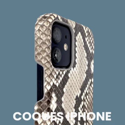 Coques iPhone