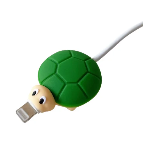 Protection Lightning Tortue