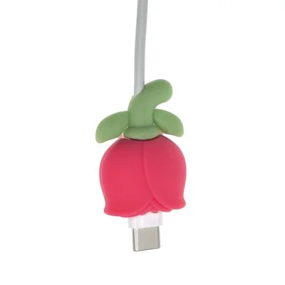Protection USB-C Rose