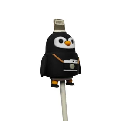Protection USB-C Lightning Auk